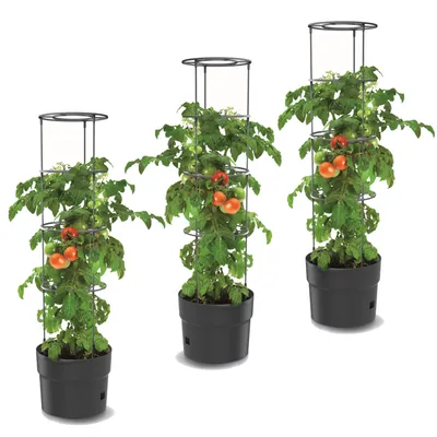 Immagine prodotto di Set di 3x piante di pomodoro in plastica 18 L, coltivatore di pomodori, vaso di pomodori, fioriera, verdura, rondella di pomodori