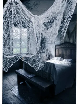 Produktbild von Weißes Halloween-Spinnennetz 76x228cm
