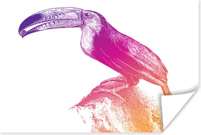 Produktbild von MuchoWow® Poster Eine Illustration eines bunten Tukans auf einem weißen Hintergrund 160x120 cm - Foto Plakat