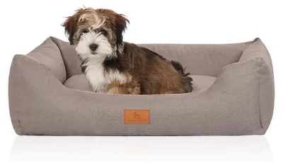 Produktbild von Knuffelwuff Lotte Hundebett Velours S 70 x 50 cm Lichtgrau