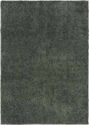 Image de Tapis à poils longs lavable Interiyou Sofia Vert clair 120 x 170 cm