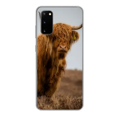 Produktbild von MuchoWow® Handyhülle Schutzhülle Hülle für Samsung Galaxy S20 Schottischer Highlander - Düne - Gras Silikon Softcase Handy Hülle - Bild
