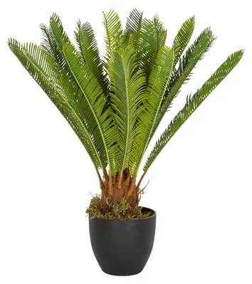 Obrázok produktu pre hjh OFFICE Umelá rastlina CYCAS Umelá rastlina Palma Výška 70,0 cm Dekorácie