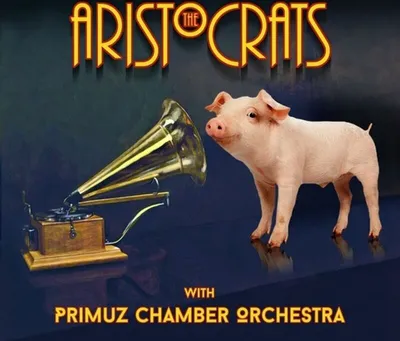 Zdjęcie produktu dla The Aristocrats & Orkiestra Kameralna Primuz