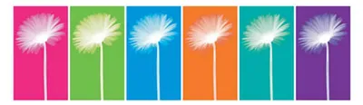 Immagine prodotto di FIORI Astratti - 30,5x91,5 cm - Poster