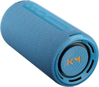 Image de Enceinte Portative LOEWE WE HEAR Pro, 50 W, Bluetooth, USB-C, IPX6 Bleu
