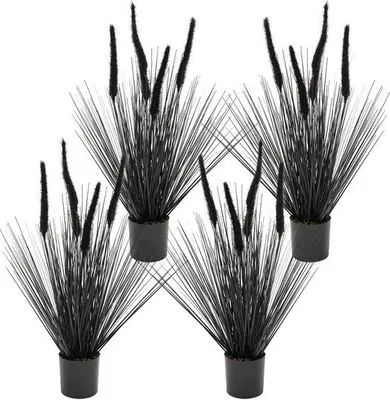 Produktbild von Pflanzsimulatoren - 4 Stück Schwarze Kornelie - 60 cm Höhe