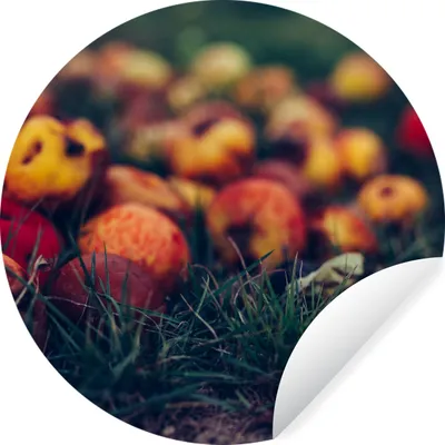 Produktbild von MuchoWow® Runde Wandtattoo - Wandsticker Tapete Aufkleber Landdekoration - Herbst - Apfel - Obst Ø 100 cm Selbstklebend und Repositionierbar - Wandaufkleber - Kreis - Tapetenkreis - Wandbild rund - Schlafzimmerdekoration - Wanddeko - runde Tapete - Kunst für zu Hause