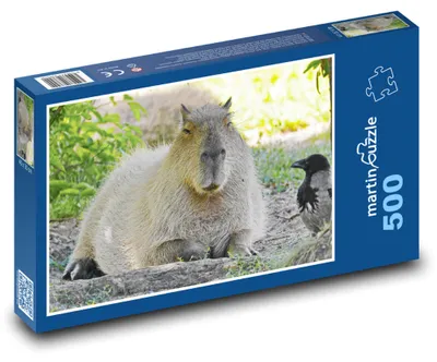 Obrázok produktu pre martinpuzzle – Puzzle 500 – Kapybara