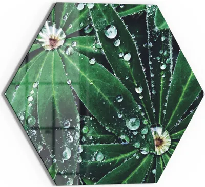 Produktbild von DEQORI Magnettafel Glas 55x48 cm 6-eckig 'Wasserperlenverzierung' beschreibbar Whiteboard