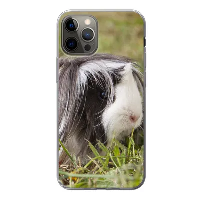 Produktbild von MuchoWow® Handyhülle Schutzhülle Hülle für iPhone 12 Pro Langhaar-Meerschweinchen Silikon Softcase Handy Hülle - Abdeckung