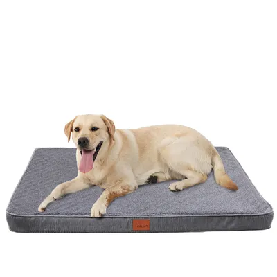 A dog is lying on a dog bed.