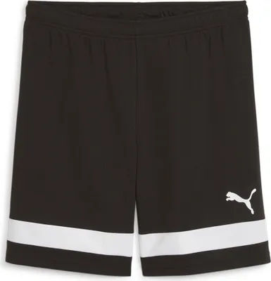 Produktbild von Puma individualRISE Shorts - schwarz, Größe:L