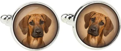 Produktbild von Rhodesian Ridgeback - Manschettenknöpfe, Hemdverzierung, Hemdanhänger der Marke Art-Dog