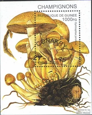 Produktbild von Briefmarken Guinea 1995 Mi Block500 (kompl.Ausg.) gestempelt Pilze