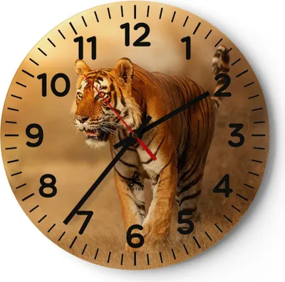 Produktbild von Wanduhr - Rund - Glasuhr - tiger tier - 30x30cm - Schleichendes Uhrwerk - Lautlos - zum Aufhängen bereit - Dekoration Modern - Wanddekoration aus Glas - C4AR30x30-3946