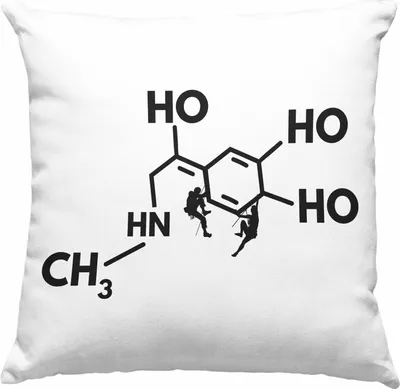 Produktbild von Trendation - Klettern Bergsteigen Geschenk Deko-Kissen mit Füllung 40x40 Boulder Geschenkidee Berge Dopmain Grafik (Grün)
