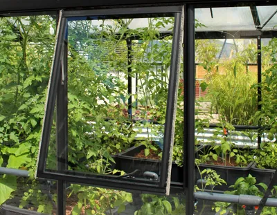 Obrázek produktu pro Vitavia boční okno "H" pro skleníky Vitavia černé 3 mm tvrzené bezpečnostní sklo