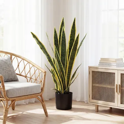 Produktbild von Künstliche Sansevieria groß, Kunstpflanze im Topf, künstliche Schlangenpflanze, Grün | 77 cm | Zementbasis | PE-Blätter biegbar
