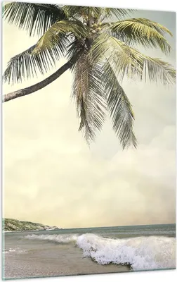 Produktbild von Bilder auf glas - Einteilig - Palme Strand Insel - 50x70cm - Glasbilder - Wandbilder - Bilder - zum Aufhängen bereit - Wanddekoration aus Glas - Glas Bilder - Wandbild auf Glas - GPA50x70-4154