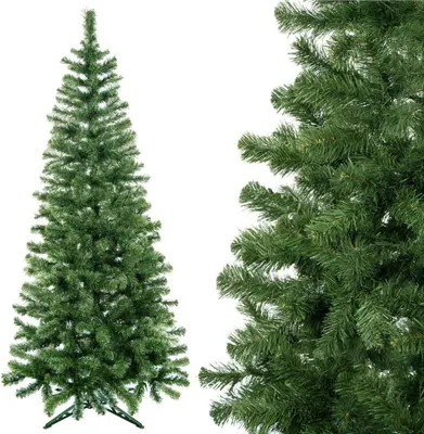 Obrázek produktu pro Vánoční stromek Jedle zelená 150 cm
