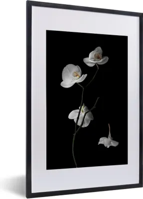 Produktbild von MuchoWow® Gerahmtes Poster Orchidee - Blumen - Schwarz - Weiß - Stilleben 40x60 cm - Poster mit Schwarzem Bilderrahmen Wandposter Rahmen Foto Bilder - Poster in Rahmen