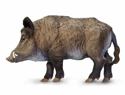 Immagine prodotto di Safari Ltd - Figurina di cinghiale 224229
