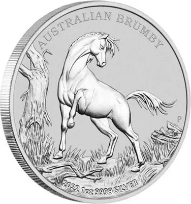 Zdjęcie produktu dla srebrna moneta 1 uncja Australijski Brumby 2022, srebrna moneta kolekcjonerska 999