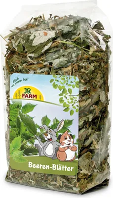 Produktbild von JR Farm Beeren Blätter 100 g
