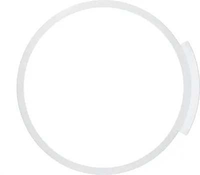 A white ring-shaped object against a white background.