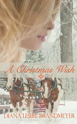 Produktbild von A Christmas Wish