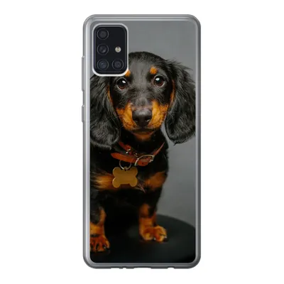 Produktbild von MuchoWow® Handyhülle Schutzhülle Hülle für Samsung Galaxy A52 5G Studiofoto eines Dackelwelpen Silikon Softcase Handy Hülle - Umschlag
