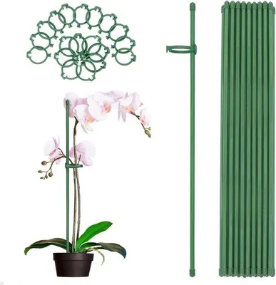 Productafbeelding van Famanu plantensteunen met ringen - 40 cm, 20 stuks