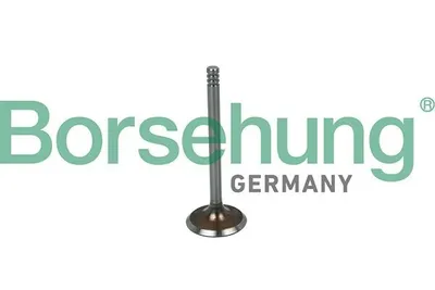 Produktbild von Borsehung B19016 Einlassventil für VW Golf IV Schrägheck (1J1)