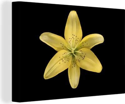 Produktbild von OneMillionCanvasses® - Leinwandbilder - 140x90 cm, Lilie - Blume - Gelb, Wandbilder Kunstdruck Wanddekoration