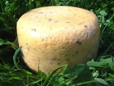 Produktbild von Rohmilchkäse mit Kräutern ca. 700 gr. Neuhaushof
