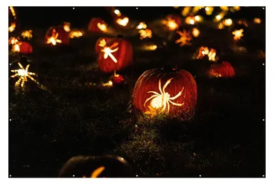 Productafbeelding van Halloween Pompoenen met Spinnenweb - Nacht Decoratie - 180x120 cm - Tuindecoratie Buiten - Schuttingdoek - Tuindoek - Tuinposter