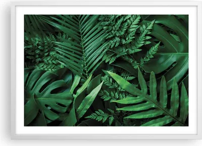 Produktbild von Gerahmtes Poster - Weißer Rahmen - Exotisch Blätter Monstera - 70x50 cm - Wand Bild - Wanddeko - Wandbilder - Kunstposter - Wandposter - Bilderrahmen - Bilder - Kunstdruck - P2WAA70x50-4746