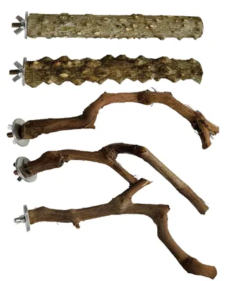Immagine prodotto di Solidchoice - Posatoi naturali per uccelli - Set di 5 posatoi in legno per uccelli