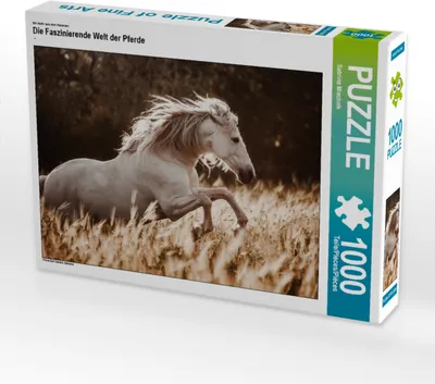 Produktbild von CALVENDO Puzzle Ein Motiv aus dem Kalender Die Faszinierende Welt der Pferde | 1000 Teile Lege-Größe 64x48cm Foto-Puzzle für glückliche Stunden