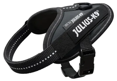 Image de Harnais pour chien Julius K9 IDC, taille Baby 1, anthracite 16IDC-ANT-B1