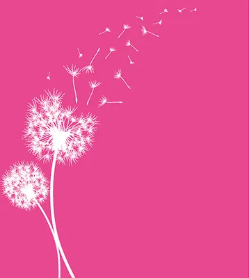 Produktbild von 20 Servietten, 3-lagig 1/4-Falz 40 cm x 40 cm fuchsia "Dandelion"