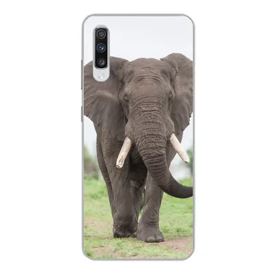 Produktbild von MuchoWow® Handyhülle Schutzhülle Hülle für Samsung Galaxy A70 Elefant - Tiere - Gras - Natur Silikon Softcase Handy Hülle - Schutzhaube