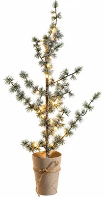 Produktbild von Lene Bjerre Zeder PINEA mit LED Kunstpflanze grün | 25x60cm