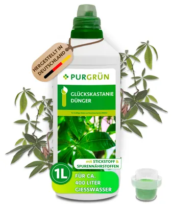 Produktbild von Purgrün Glückskastanie-Dünger 1 Liter