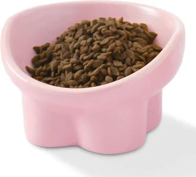 Imagen del producto de Caja para gatos de cerámica Famanu, con diseño elevado: antivómito, comedero y bebedero para gatos, cachorros y perros pequeños