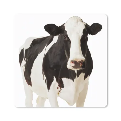 Produktbild von MuchoWow® Mauspad Mousepad Kuh - Weiß - Schwarz - Tiere 30x30 cm - Mousepads - Maus Mat - Pad - Mausunterlage - Gaming