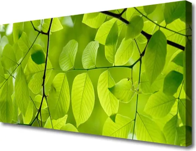 Produktbild von Tulup Leinwand-Bilder 100x50 Wandbild Canvas Kunstdruck Blätter Natur