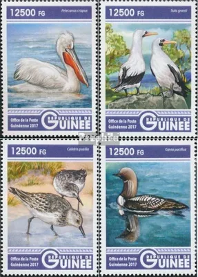 Produktbild von Briefmarken Guinea 2017 Mi 12296-12299 (kompl. Ausgabe) postfrisch Wasservögel