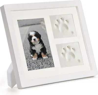 Produktbild von TierHerz Pfotenabdruck Set Hund und Katze 3D Gipsabdruck mit Holz Bilderrahmen Weiß Andenkenbox, Lufttrocknender Ton, Einfache Wandmontage